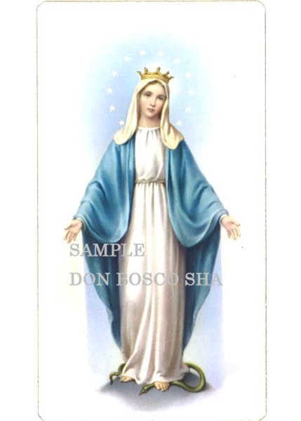 画像1: イタリア製　ご絵　無原罪の聖母　Alba15 (1)