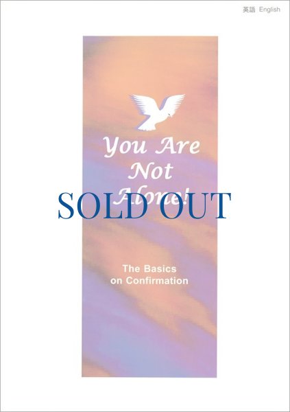 画像1: 聖霊とともに　英語版　You Are Not Alone!（絶版）　★カトリック東京国際センターCTICにてお求めいただけます (1)