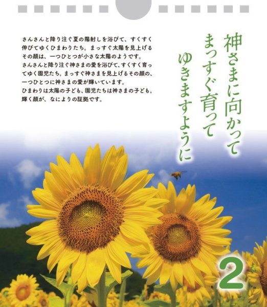 画像3: 日めくり めばえのとき (3)