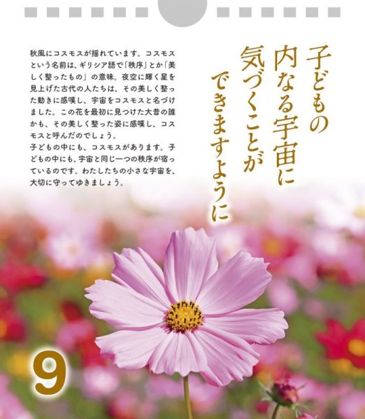 画像5: 日めくり めばえのとき (5)