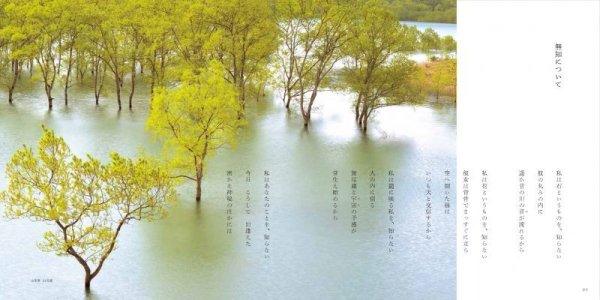 画像6: 天の指揮者 (6)