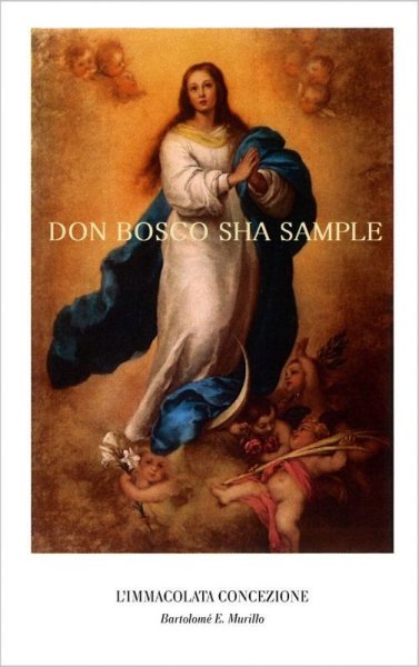 画像1: イタリア製　ご絵　被昇天の聖母（無原罪の御宿り　ムリーリョ画）HX 9184 (1)