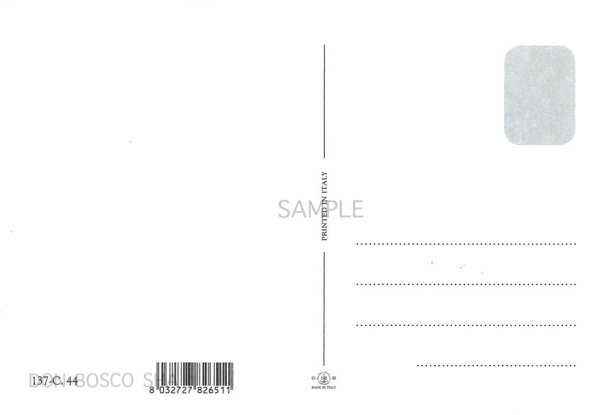 画像2: ポストカード　扶助者聖母(137C-44)(※5枚セット) (2)