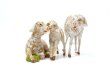 画像5: プレゼピオ 12cm用　ひつじ家族　3体セット (5)
