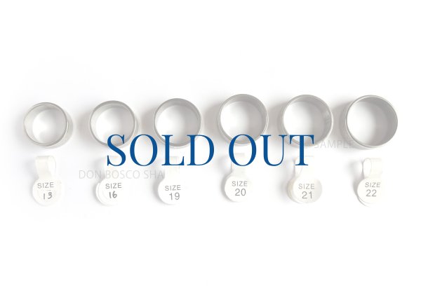 画像3: 指輪「アヴェ・マリアの祈り」13号 (3)