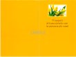 画像2: イタリア製二つ折りカード　誕生日　花 チューリップ(黄色) (2)