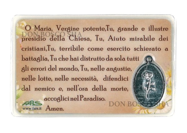 画像2: メダイ付きパウチカード　扶助者聖母 (2)