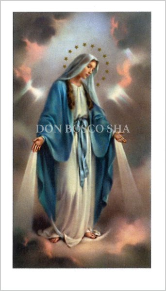 画像1: イタリア製　ご絵　無原罪の聖母　1603 (1)