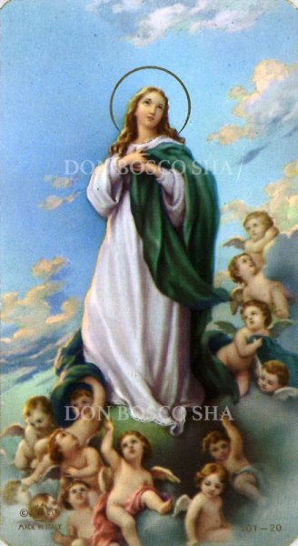 画像1: イタリア製　ご絵　被昇天の聖母　FB101-20 (1)