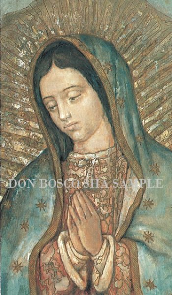 画像1: イタリア製　ご絵　グアダルペの聖母  ARS351 (※5枚セット) (1)