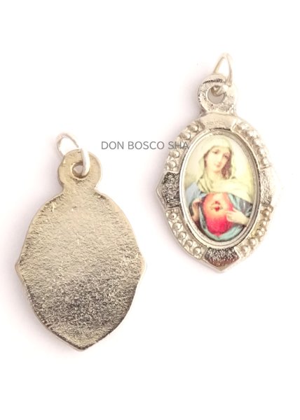 画像1: メダイ　み心のマリア　銀縁　NB※在庫僅少 (1)