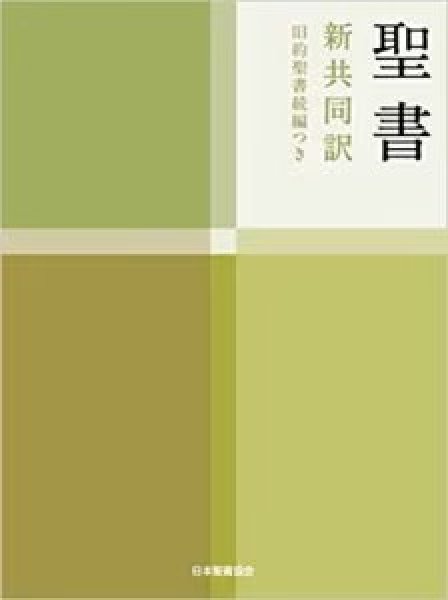 画像1: 新共同訳 中型聖書/旧約続編つき NI53DC (1)